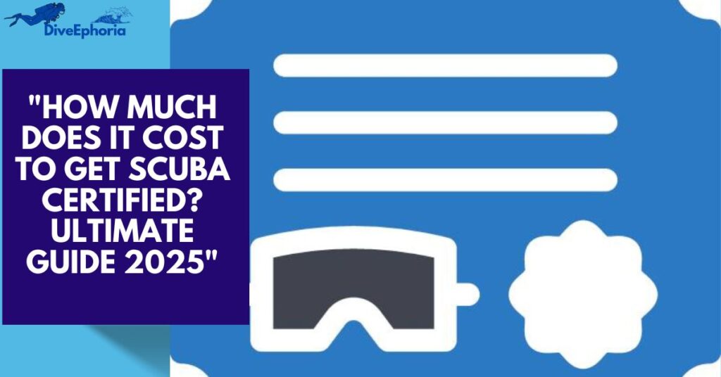 The Ultimate Guide to How Much Does It Cost to Get Scuba Certified in 2025
