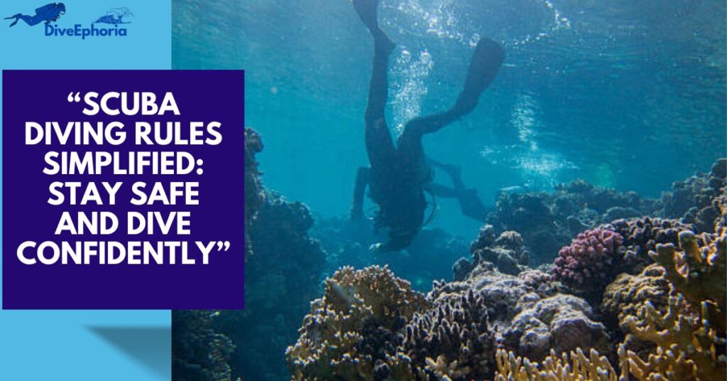 The Ultimate Guide to Scuba Diving Rules in 2025
