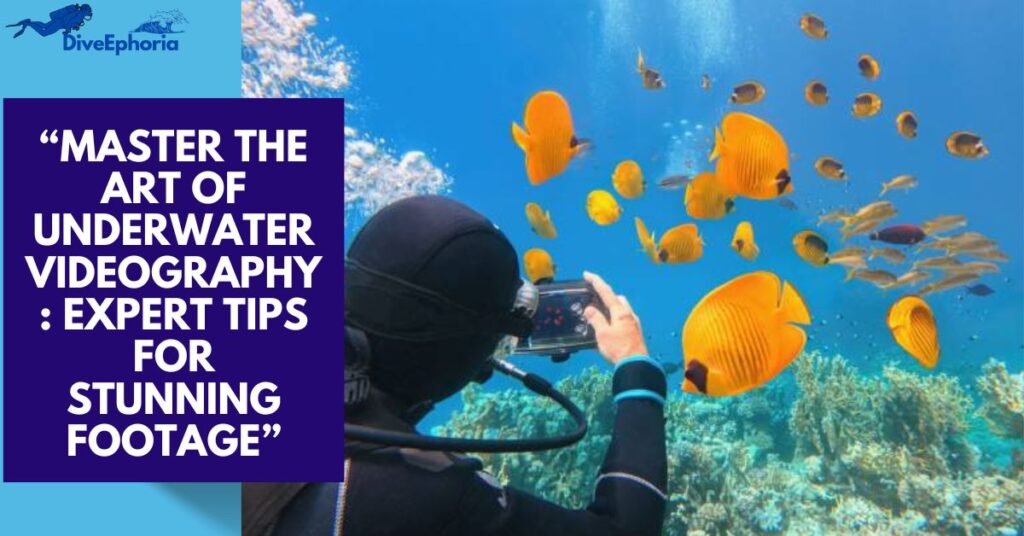 The Ultimate Guide to Underwater Videography Tips in 2025
