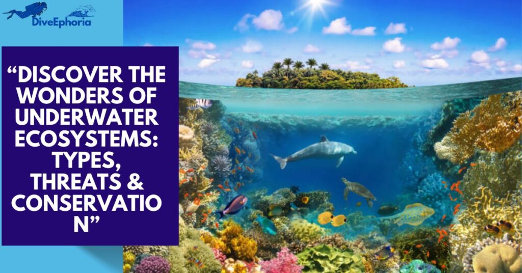 The Ultimate Guide to Underwater Ecosystems: Types and Their Wonders in 2025

