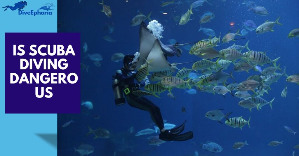 Is Scuba Diving Dangerous in 2025 "ultimate guide"