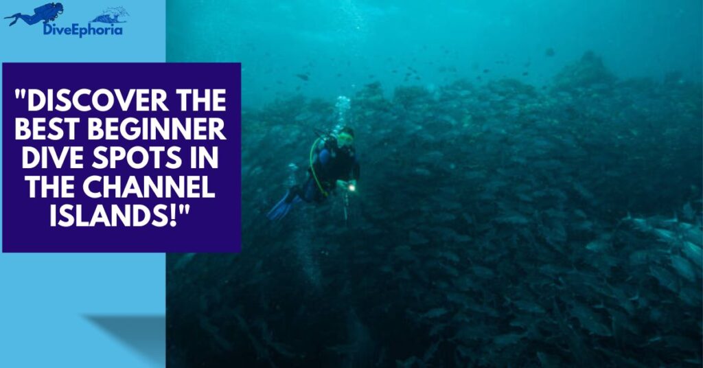 Best Place to Dive in the Channel Islands, California for Beginners