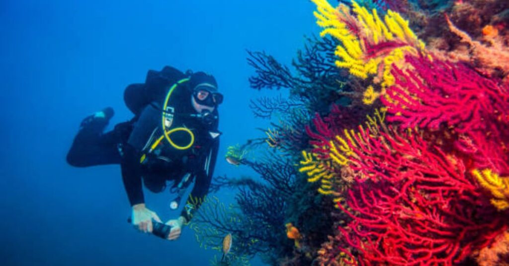 Diver exploring a vibrant coral reef during scuba diving in 2025