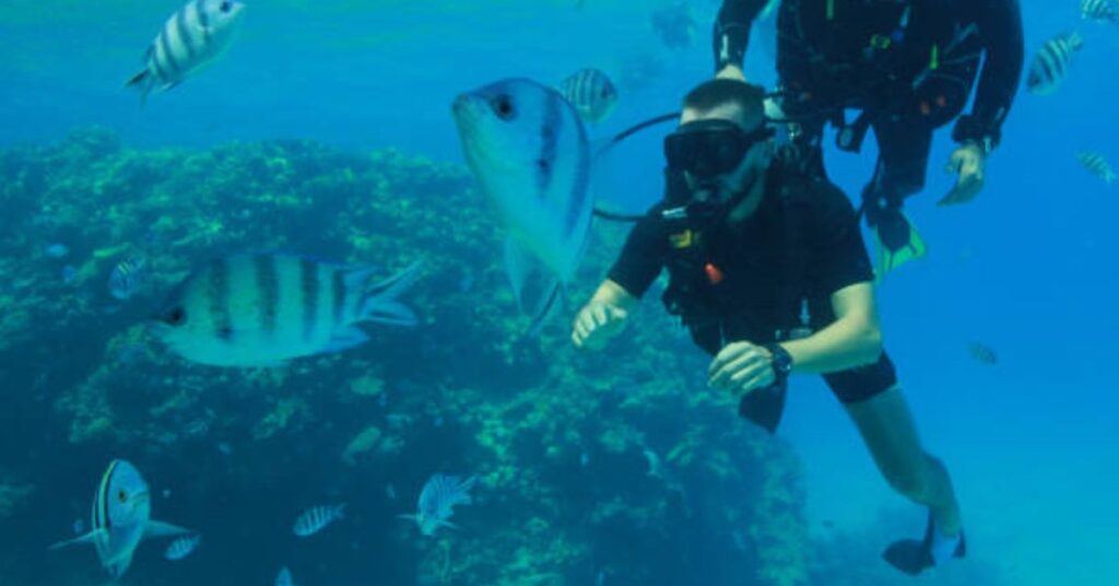 Difference Between Snorkeling vs Scuba Diving Gear