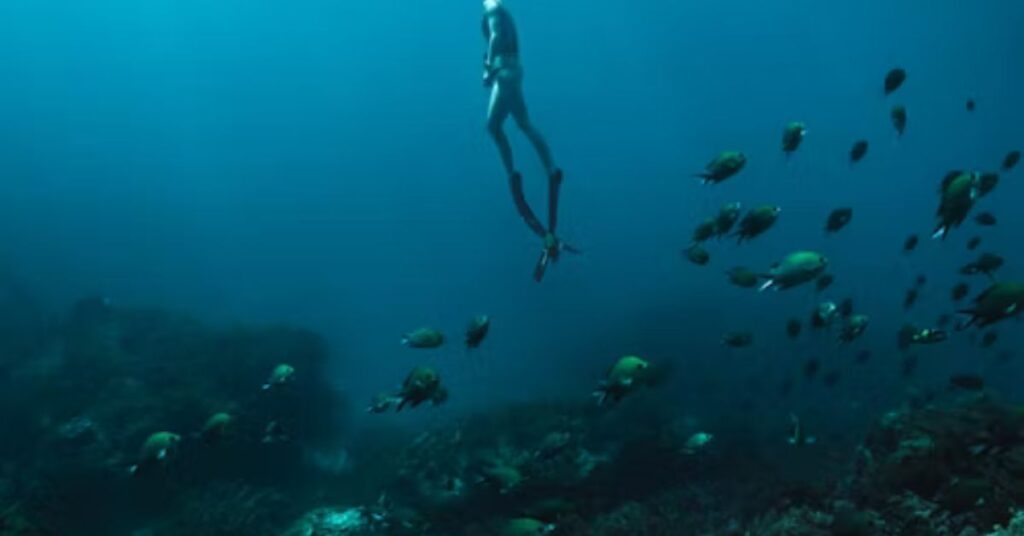 Diver exploring Edmonds Underwater Park, the best dive site for beginners in Puget Sound.