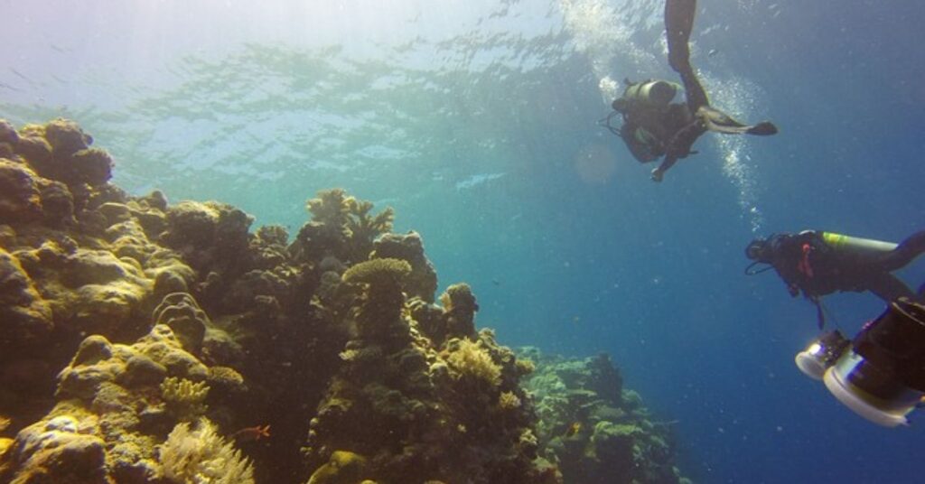 Diver using SCUBA equipment underwater for exploration