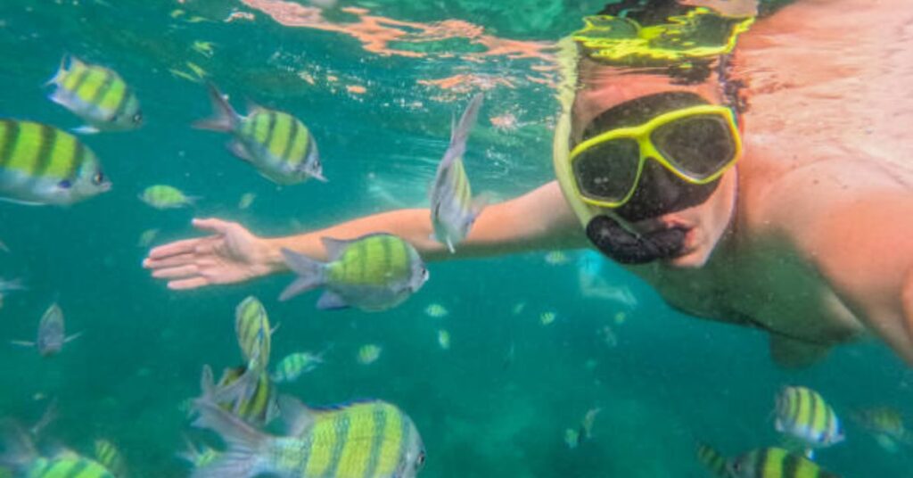 Choosing Between Snorkeling vs Scuba Diving