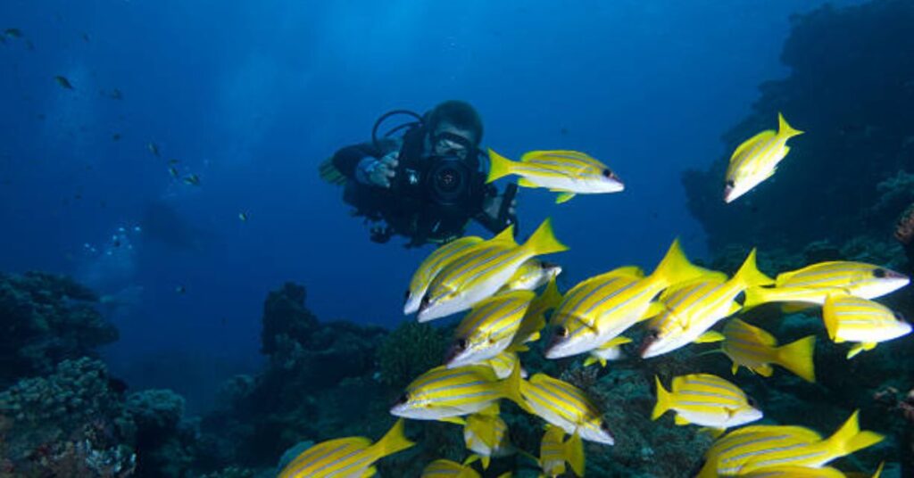 How to stabilize underwater videography shots