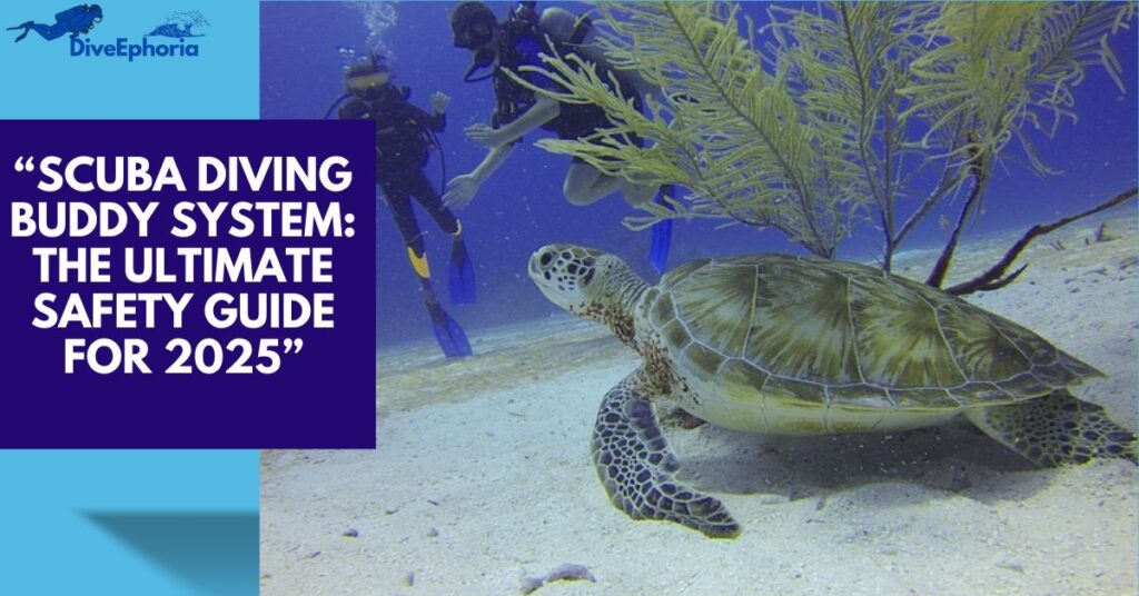 Scuba Diving Buddy System Explained: 