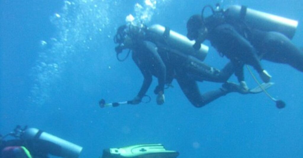 Key Elements of the Buddy System in Scuba Diving