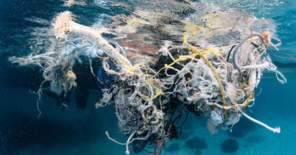 The Ocean Cleanup's Interceptor removing river plastics - Ocean Cleanup Companies

