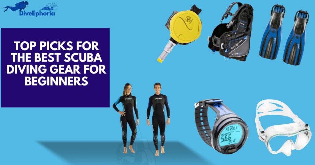 Best Scuba Diving Gear for Beginners