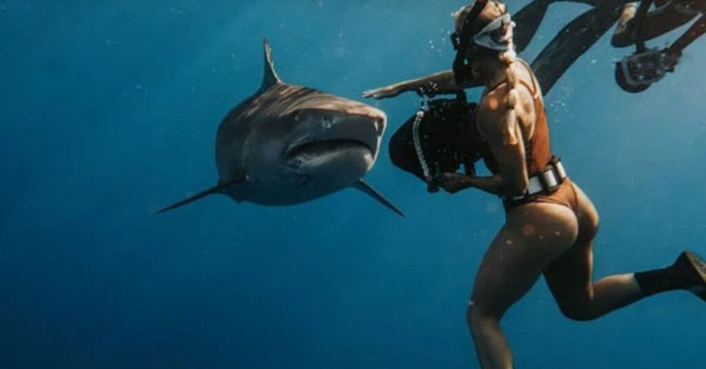 Best Practices for Scuba Divers to Avoid Shark Attacks