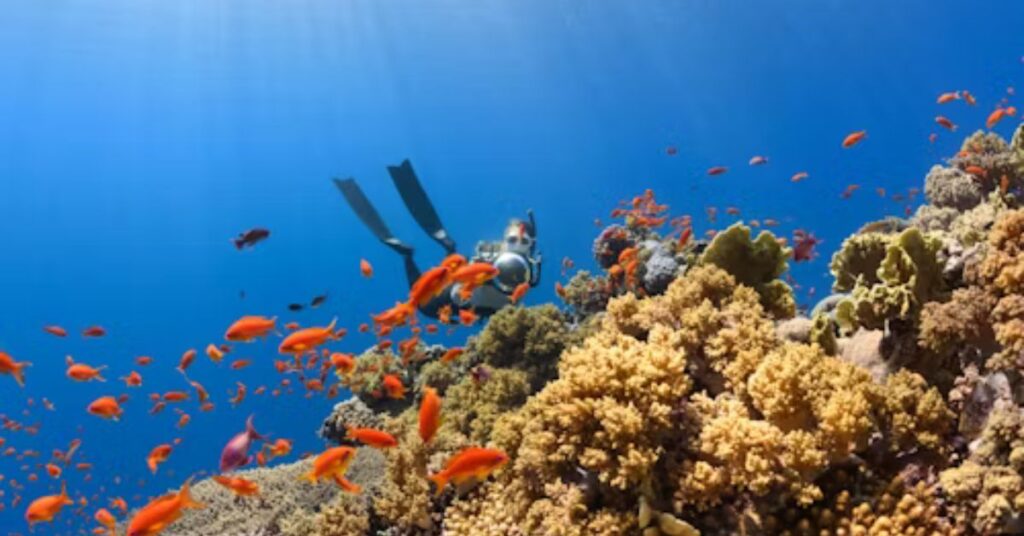 Scuba Diving Breathing Techniques for Efficiency and Safety